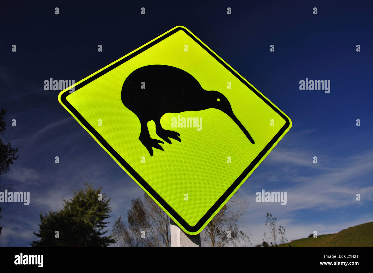 Kiwi-Straßenschild, Wharekura Reserve, Ohope, Bucht von viel Region, Nordinsel, Neuseeland Stockfoto