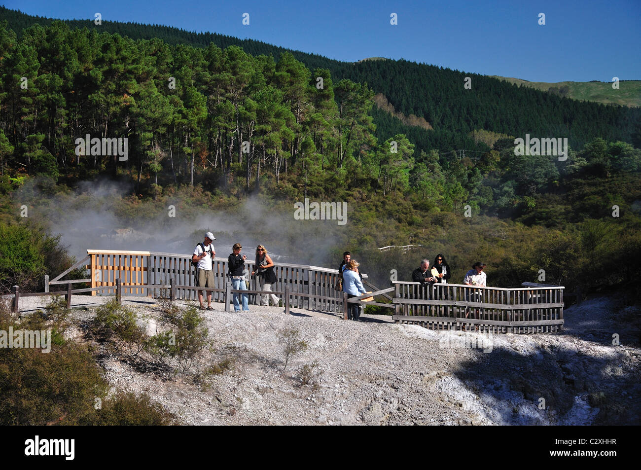 Spazierweg durch Wai-O-Tapu Thermal Wonderland, Rotorua, Region Bay of Plenty, Nordinsel, Neuseeland Stockfoto