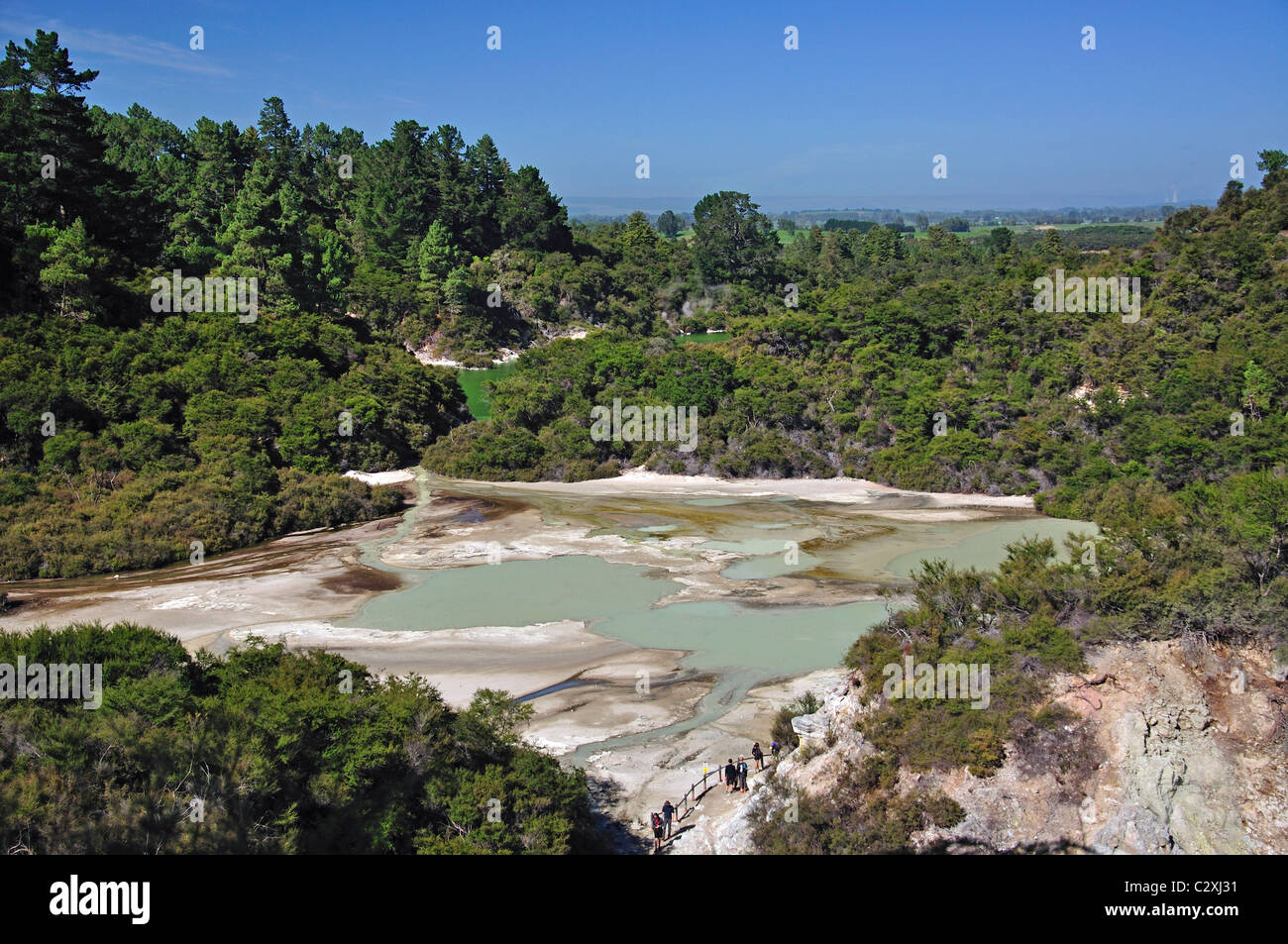 Pfanne flach von Lookout, Wai-O-Tapu Thermal Wonderland, Rotorua, Bucht von viel Region, Nordinsel, Neuseeland Stockfoto