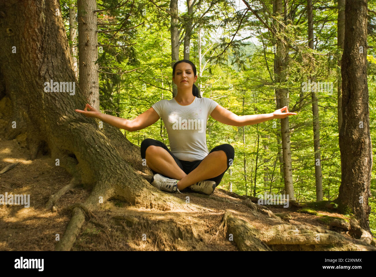 Junge Frau Yoga in der Natur machen und sitzen im Lotussitz in der Nähe von einem Baum im Wald, die reine Luft der Berge zu atmen Stockfoto