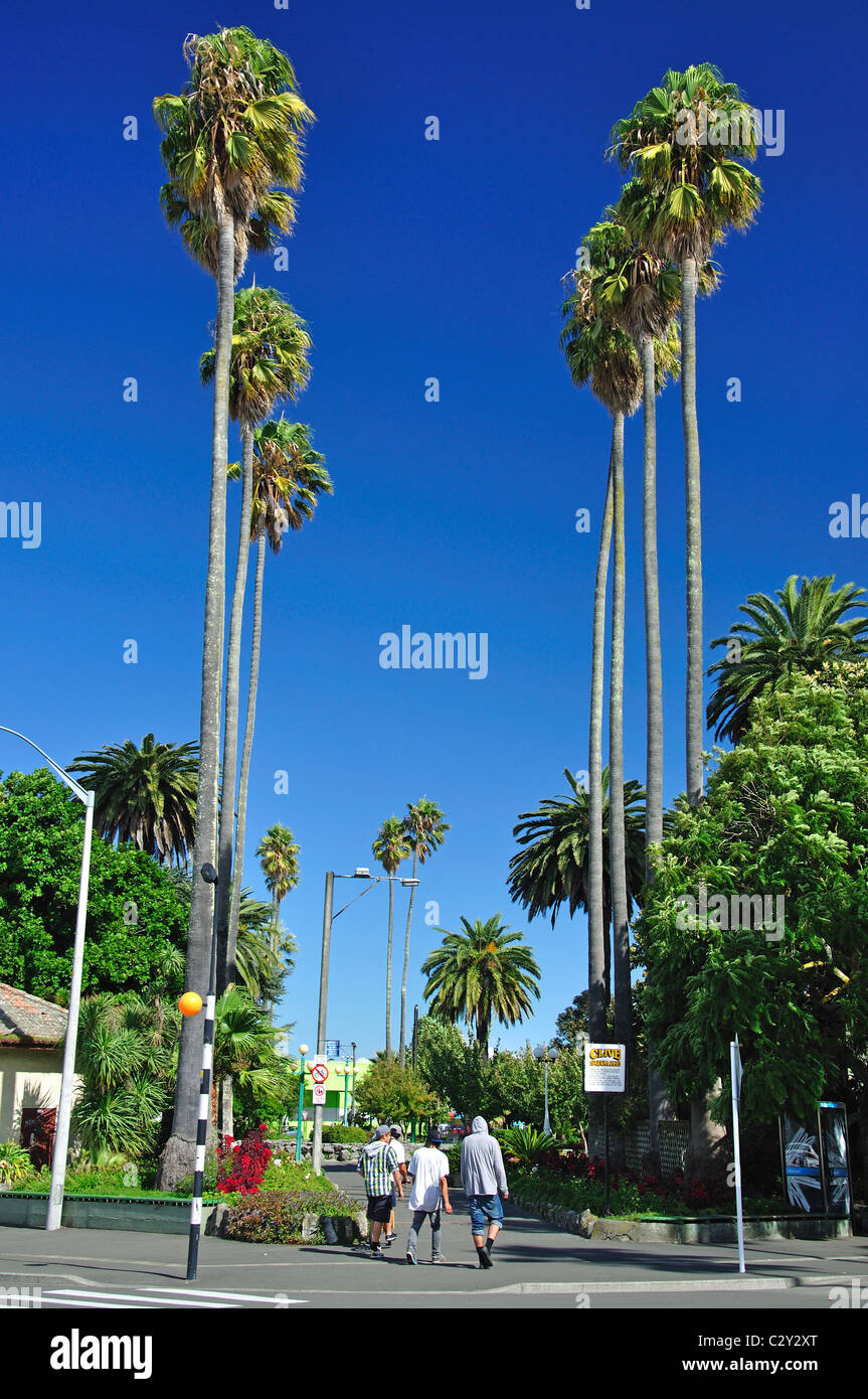 Clive Square Gardens, Napier, Hawkes Bay Region, Nordinsel, Neuseeland Stockfoto