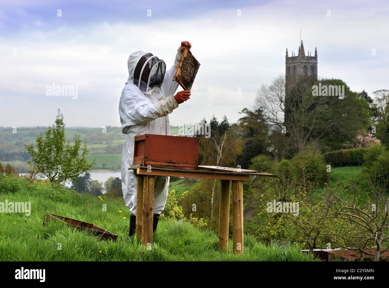 Ein Imker kümmert sich um seine Schar in Somerset Dorf Blagdon Großbritannien Stockfoto