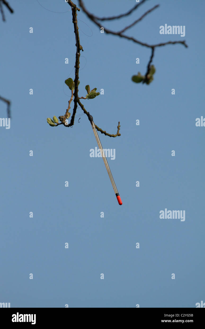 Fishermans Auftrieb im Baum Stockfoto