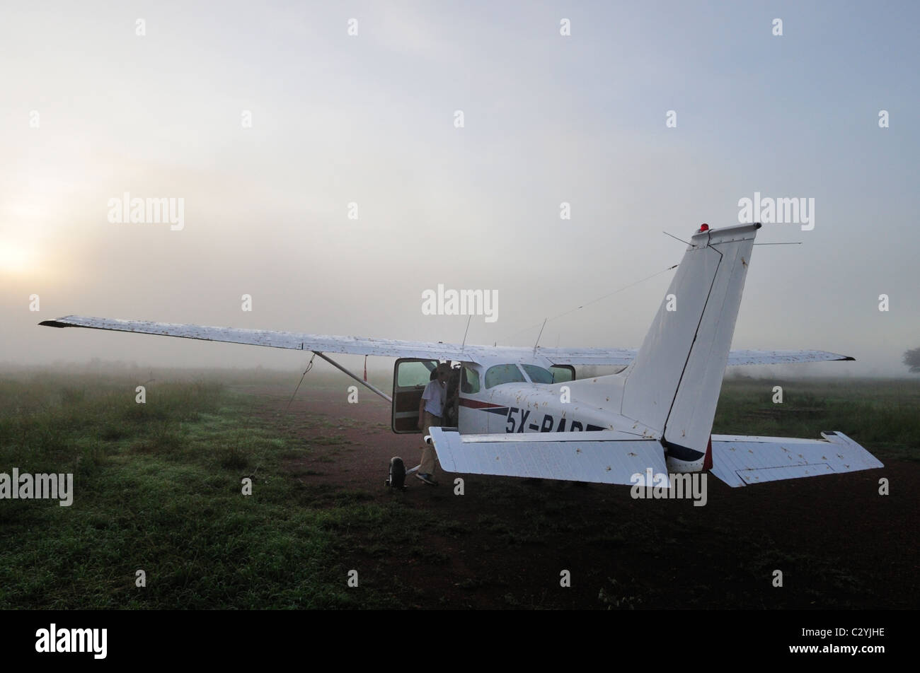 Cessna 172 am frühen Morgen nach Nacht Regen und fliegende Ameisen, Adjumani, Nord-Uganda schlüpfen Stockfoto