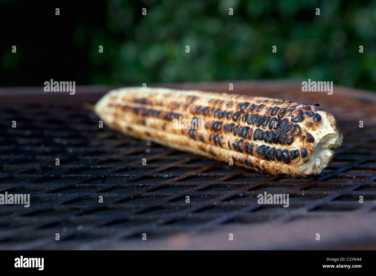 Mais auf dem Grill, in der Nähe, Johannesburg, Südafrika Stockfoto