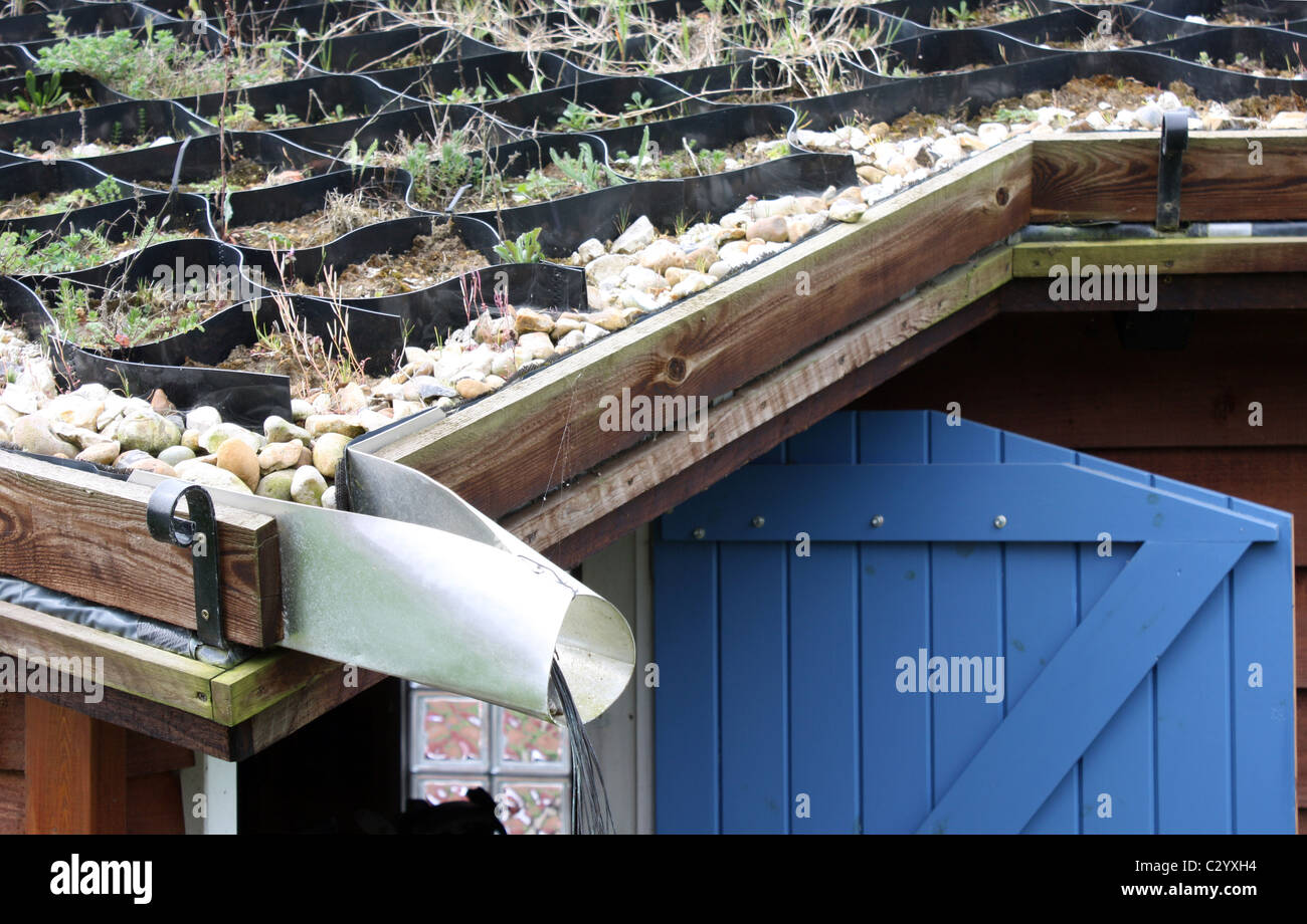 handgemachte Gründach auf Garage Werkstatt mit Kunststoffmembran und wasserdichte Barriere Sussex England Stockfoto