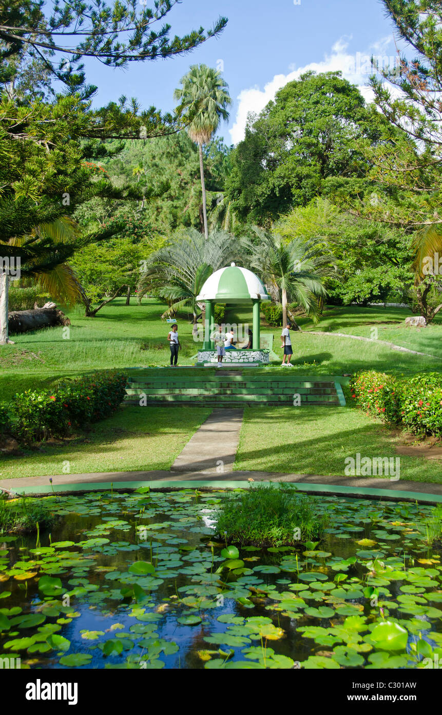 Botanische Gärten, die älteste in der westlichen Hemisphäre, in Kingstown, St. Vincent Stockfoto