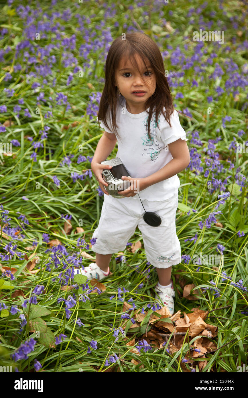 kleines Mädchen als Fotograf in Glockenblumen-Feld Stockfoto