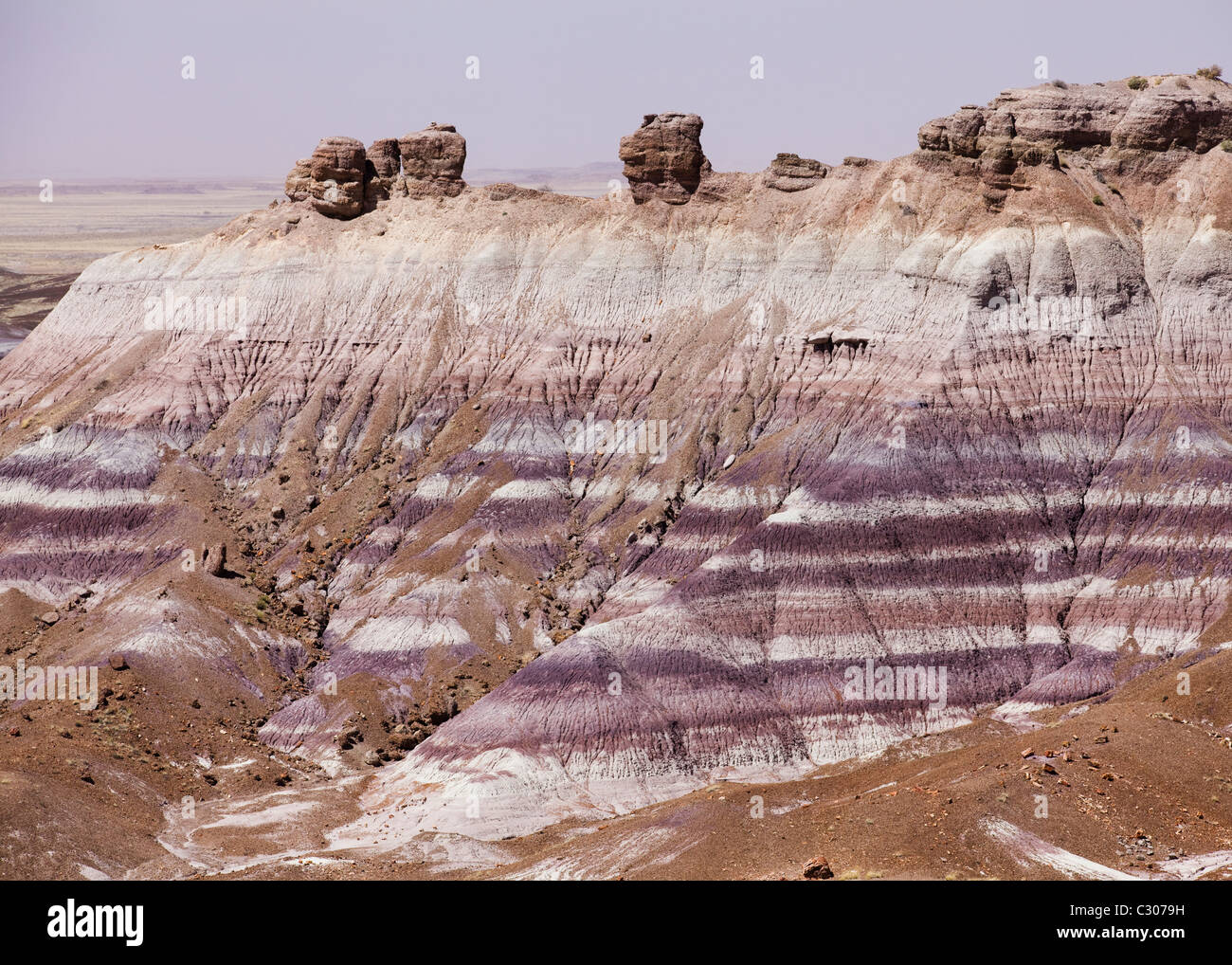 Painted Desert: ausgesetzt Einlagen von prähistorischen Tonstein und Sandstein Betten - Petrified Forest National Park, Arizona USA Stockfoto