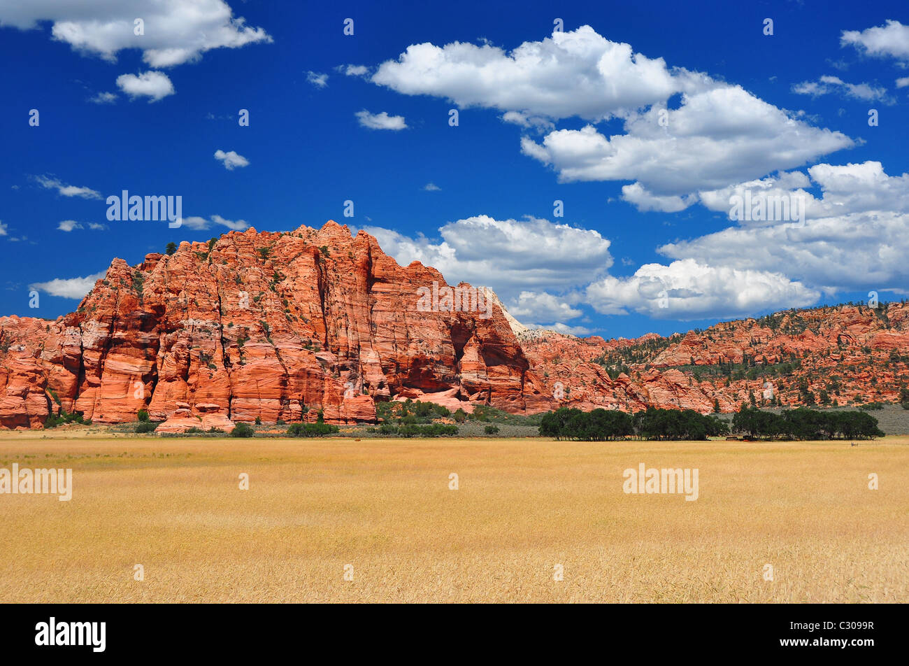 Weit ausgedehnte Getreidefelder in der Nähe von Zion Nationalpark Stockfoto
