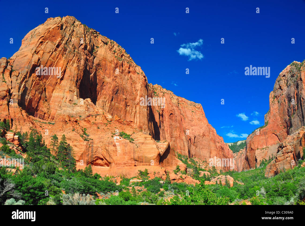 Hoch aufragende Felsformationen im Zion Nationalpark, Utah, USA. Stockfoto