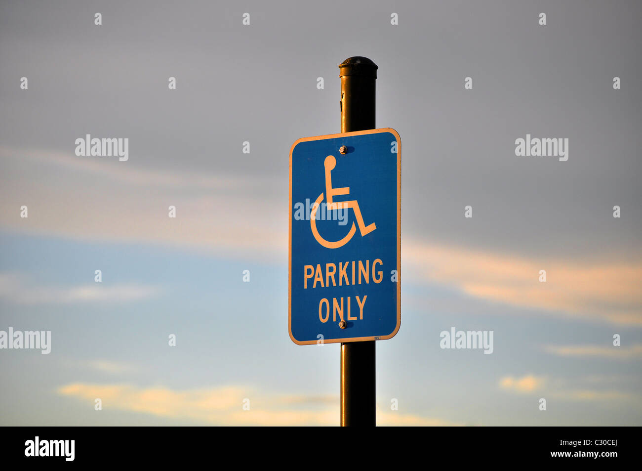 Aluminiumschild 'Handicap Parking Only' – 30,5 X 45,7 Cm, Wetterfestes Parkverbotsschild Für Behindertenparkplatz