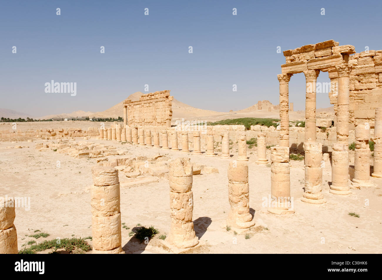 Palmyra. Syrien. Teilansicht der Agora, die aus dem zweiten Jahrhundert n. Chr. stammt. Stockfoto