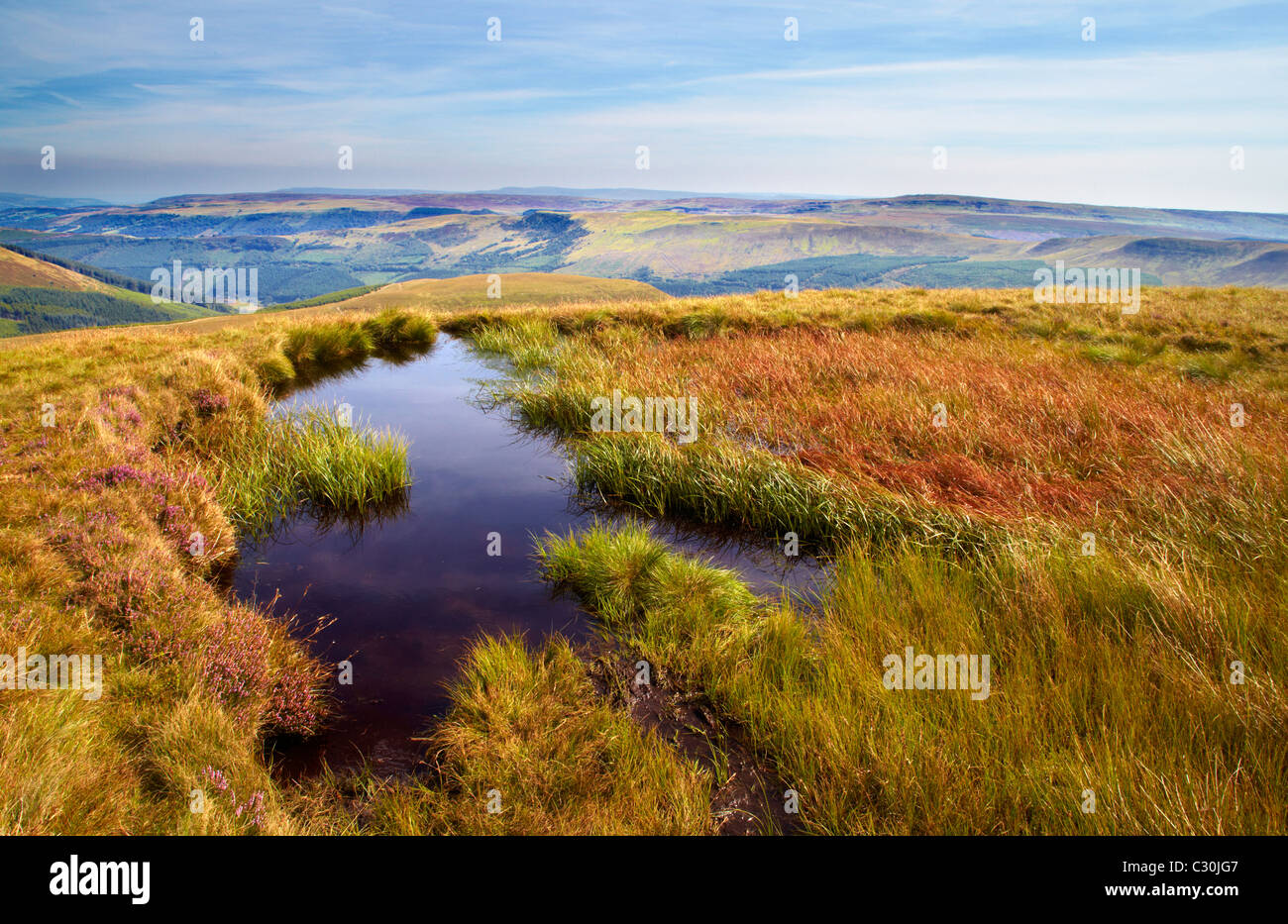 Gebirgs-Lebensraum Moor, Craig Y Fan Ddu, Brecon Beacons, Wales Stockfoto