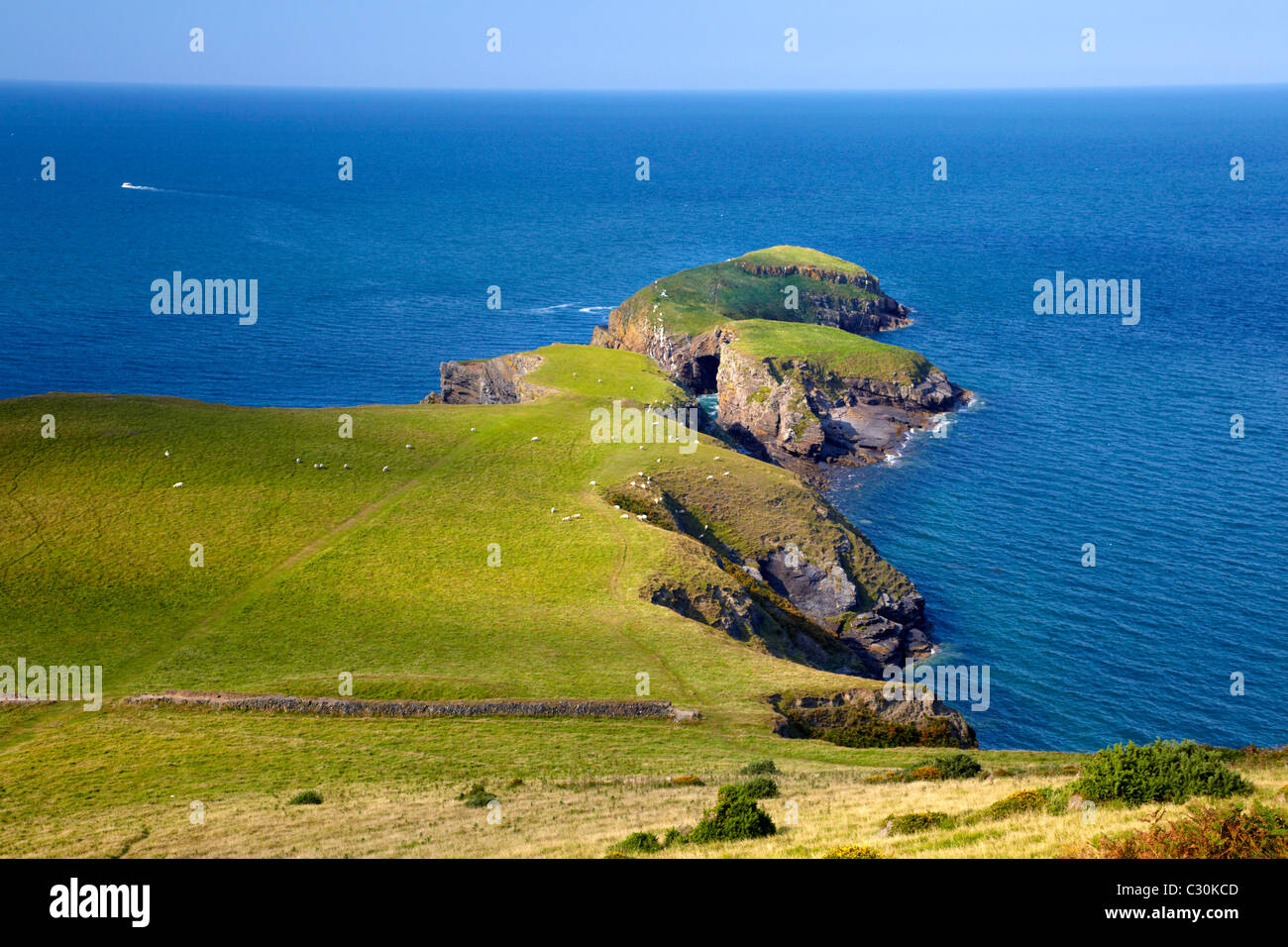 Ynys Lochtyn, Llangrannog, Westwales. Stockfoto