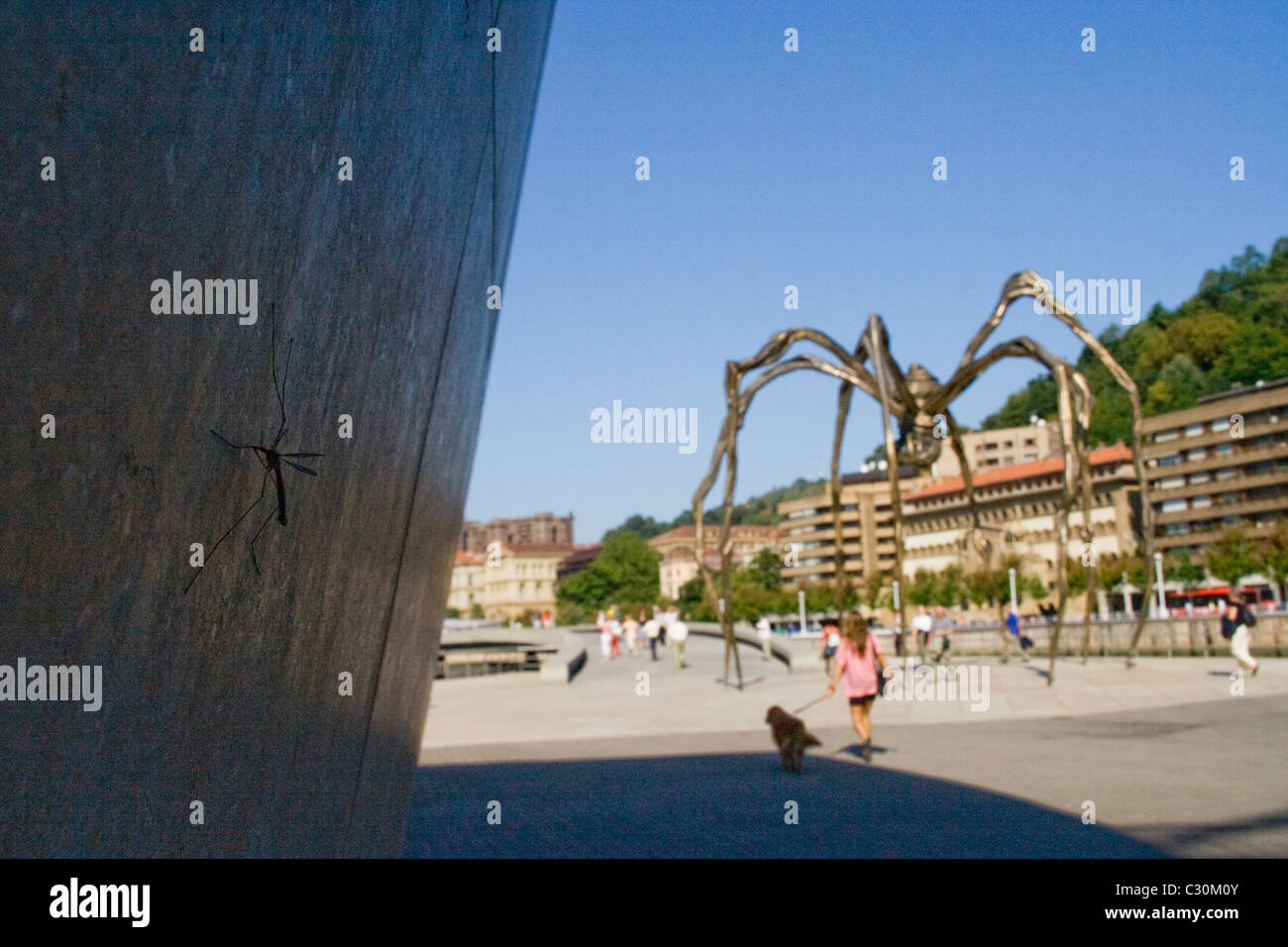 Guggenheimmuseum Bilbao Frank Gehry Stockfoto