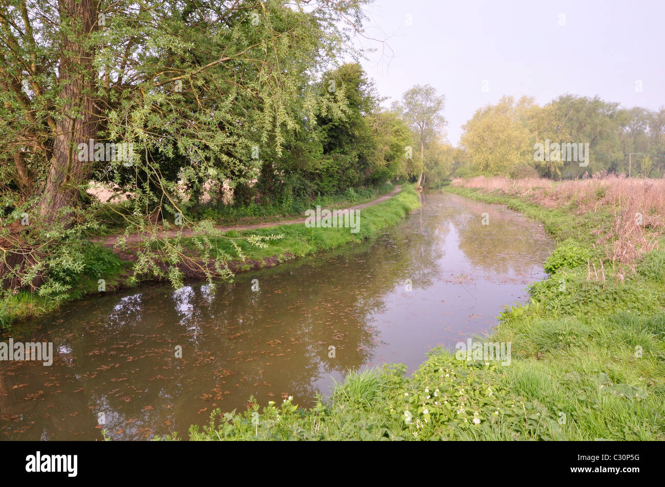 Fluß Blyth knapp Halesworth, Suffolk Stockfoto