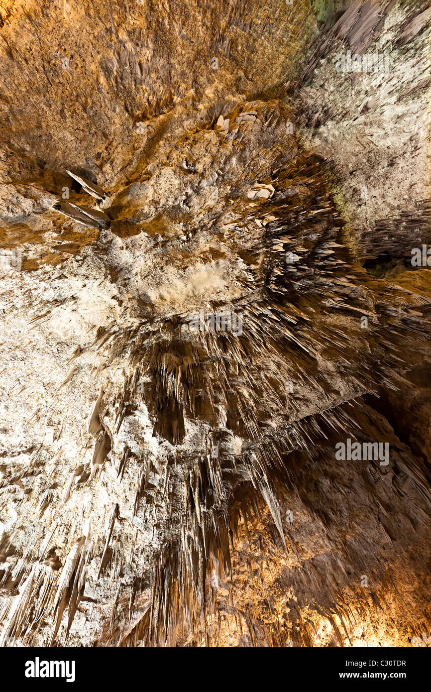 Stalaktit Formationen in Carlsbad Caverns New Mexico USA Stockfoto