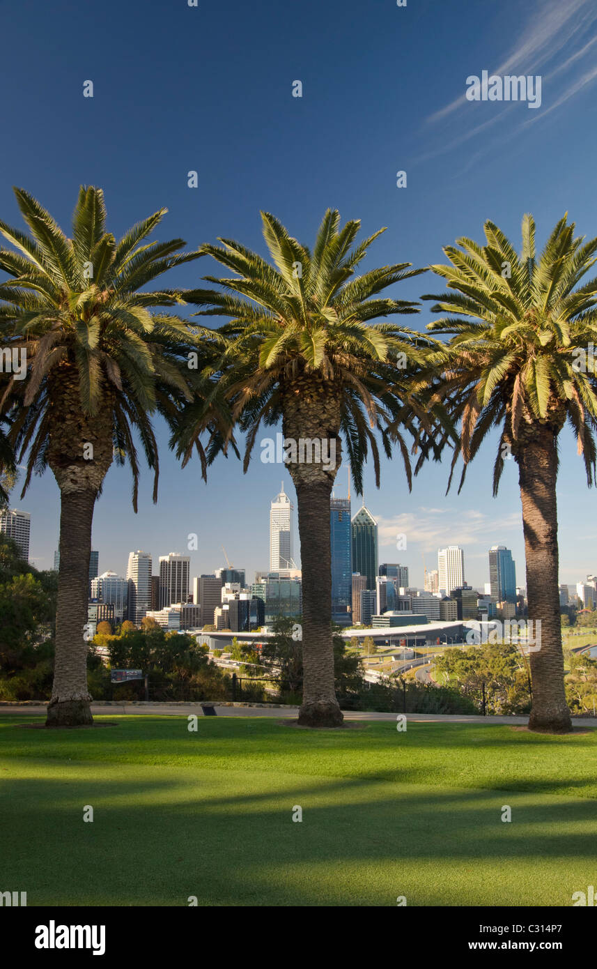 Perth City angesehen durch Palmen im Kings Park, Western Australia Stockfoto