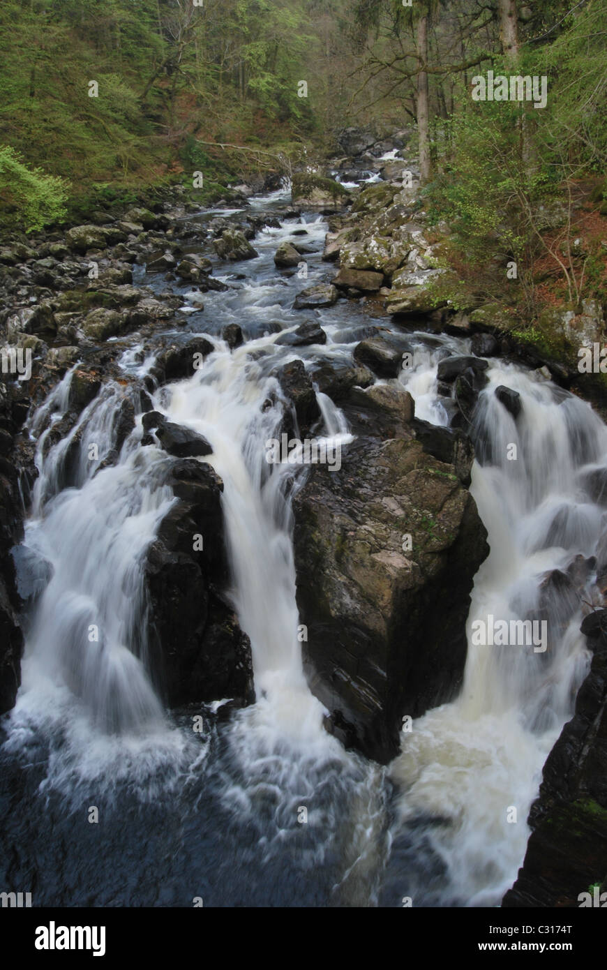 Die Wasserfälle am Fluss Braan in der Eremitage in der Nähe von Dunkeld Stockfoto