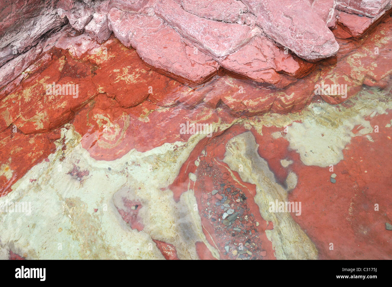 Detail der roten Felsen, Red Rock Canyon, Waterton Lakes National Park, Alberta, Kanada Stockfoto