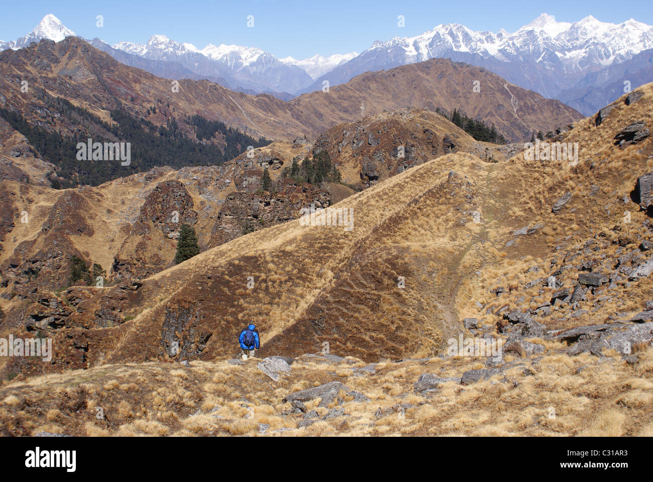 Garhwal-Himalaya, Indien: Ein Trekker herüber die welligen Tundrenlandschaften unter den Kuari-Pass. Stockfoto