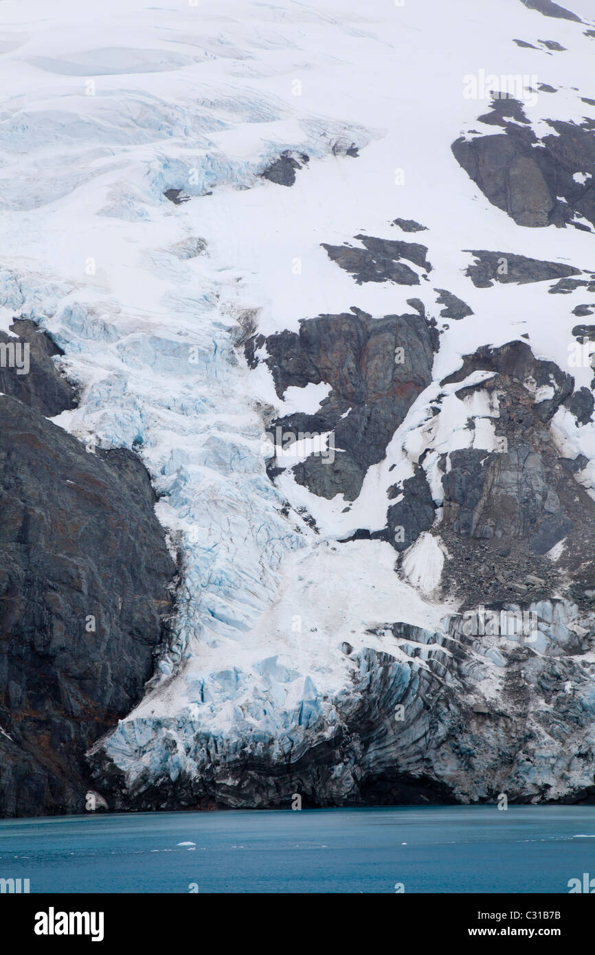 Drygalski Gletscher, Drygalski Fjord, South Georgia Island Stockfoto