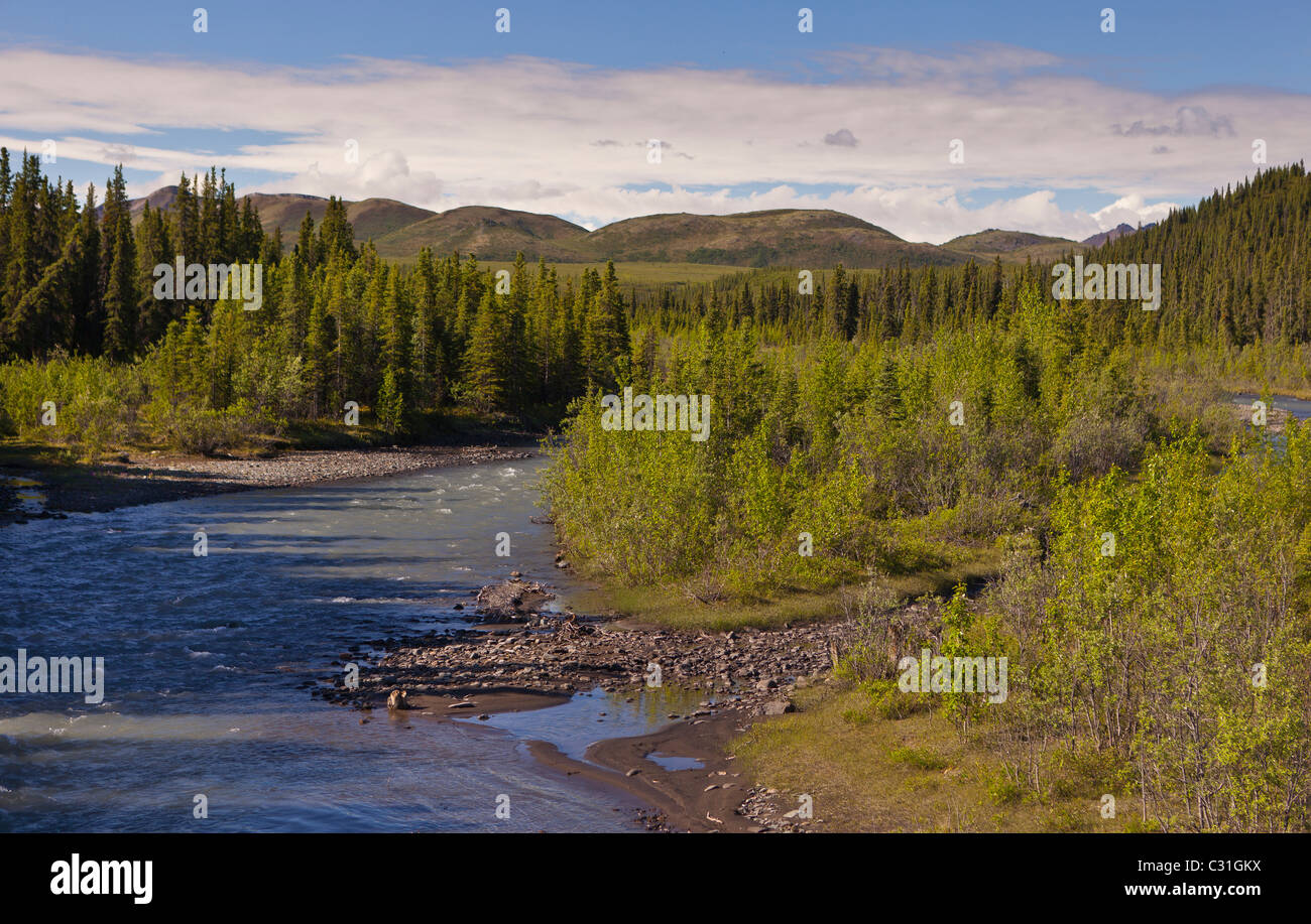ALASKA, USA - Heiligtum Fluss im Denali National Park. Stockfoto