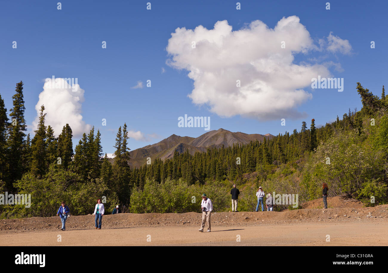 ALASKA, USA - Touristen im Denali National Park. Stockfoto