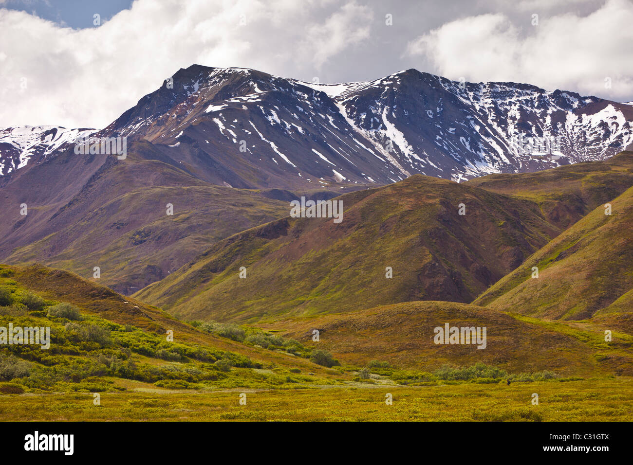ALASKA, USA - malerische Landschaft im Denali National Park. Stockfoto
