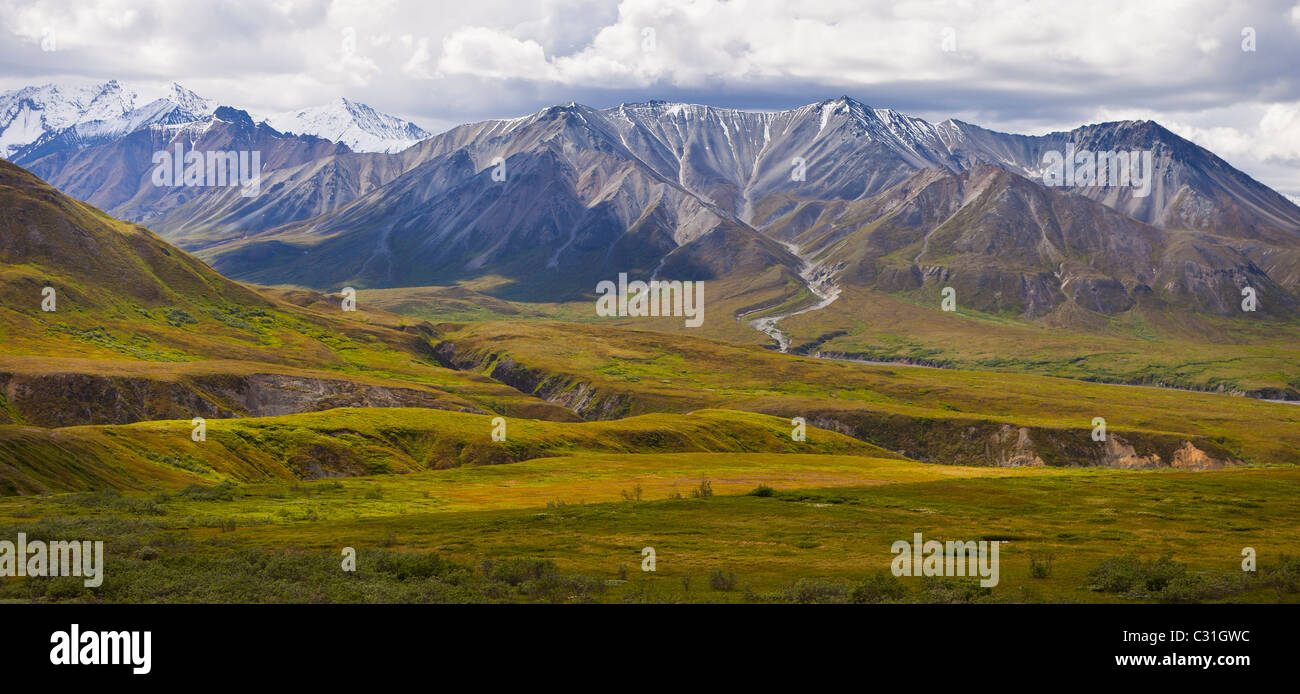 ALASKA, USA - Denali-Nationalpark. Stockfoto