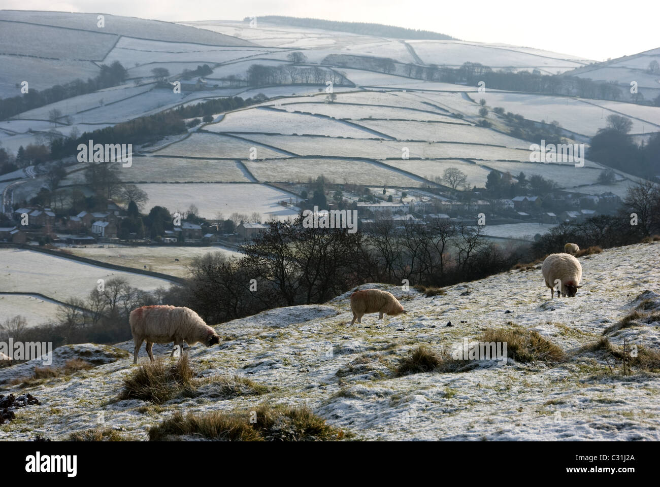 Winter-Felder, Cheshire, von Kerridge Ridge Stockfoto