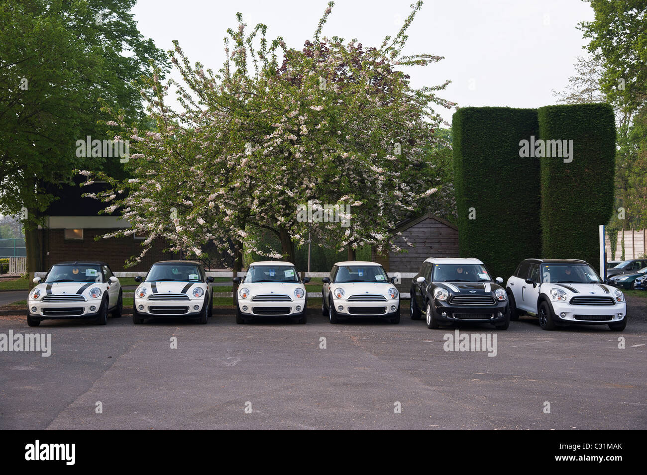 Diese BMW und Mini Automobile sind von einem großen Händler an einem geheimen Ort in Surrey, England, UK gehortet. Stockfoto