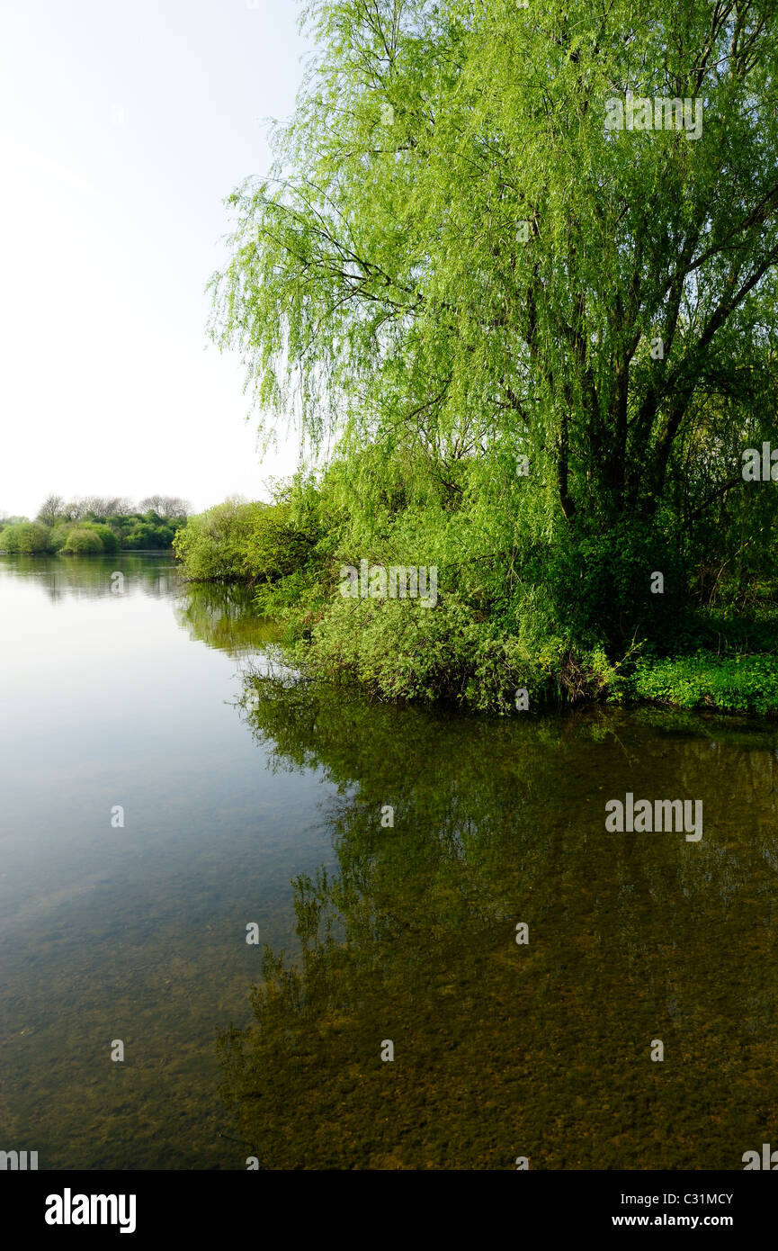 Naturschutzgebiet Attenborough Nottingham England uk Stockfoto