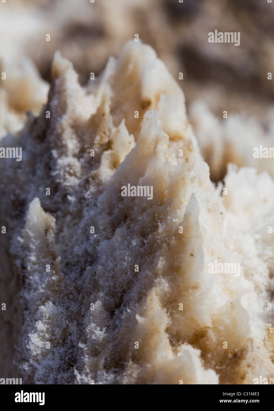 Große natürliche Halit Salz Kristallbildung - Kalifornien USA Stockfoto