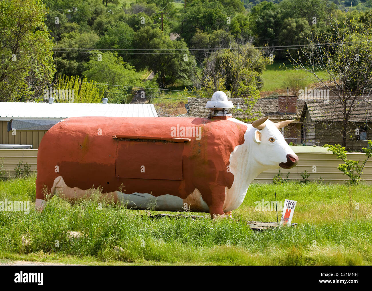 Eine große BBQ Smoker in Form einer Kuh sitzt in ländlichen Kalifornien Stockfoto
