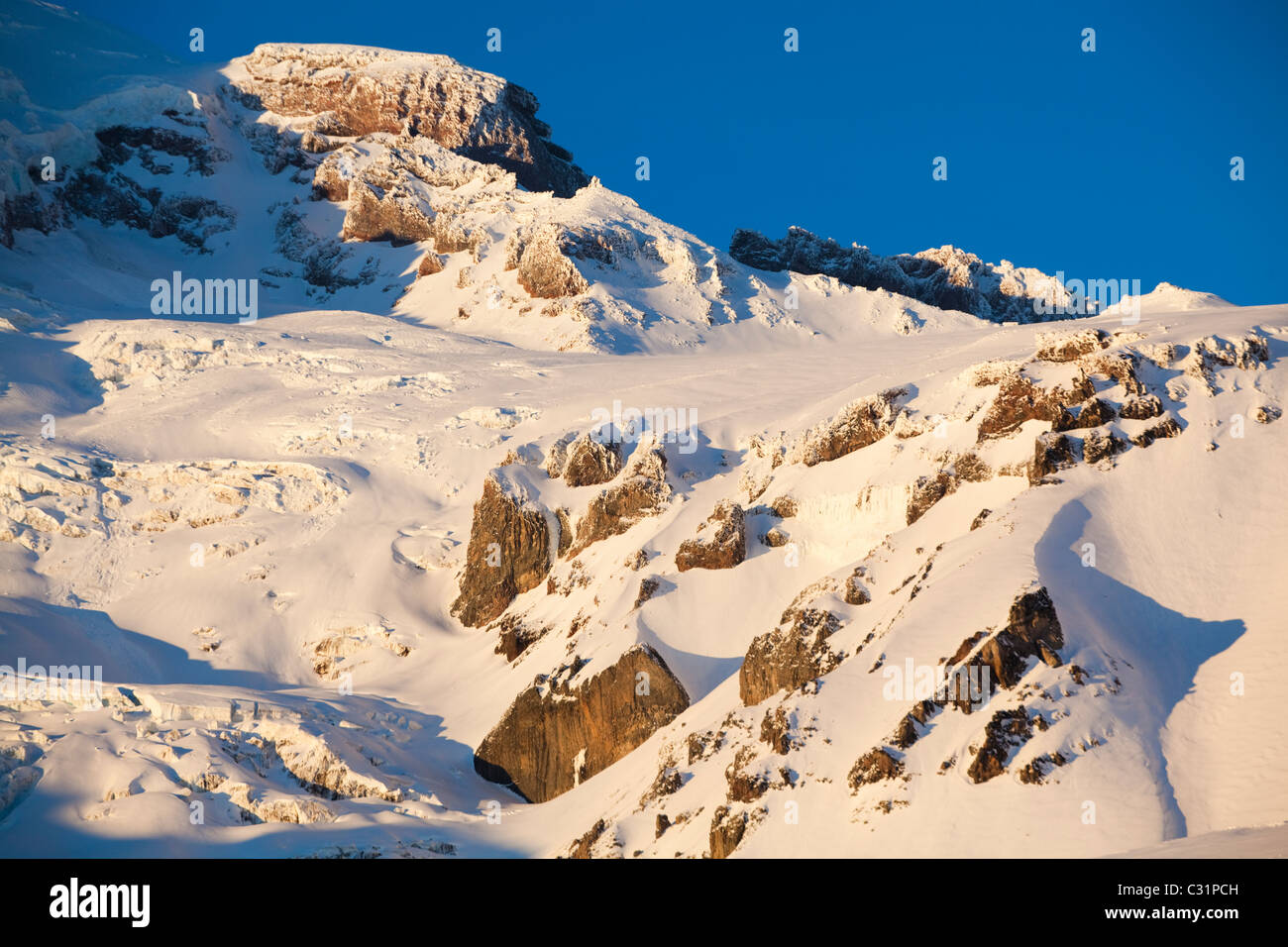 Anzeigen der Nisqually Gletscher aus dem Paradies in Mount Rainier Nationalpark, Washington. Stockfoto