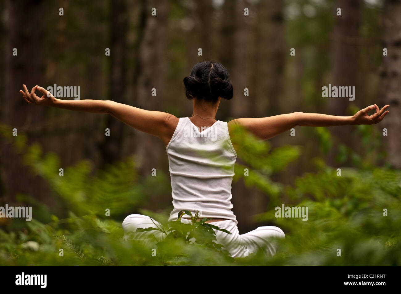 Frau beim Yoga in einem Wald. Stockfoto