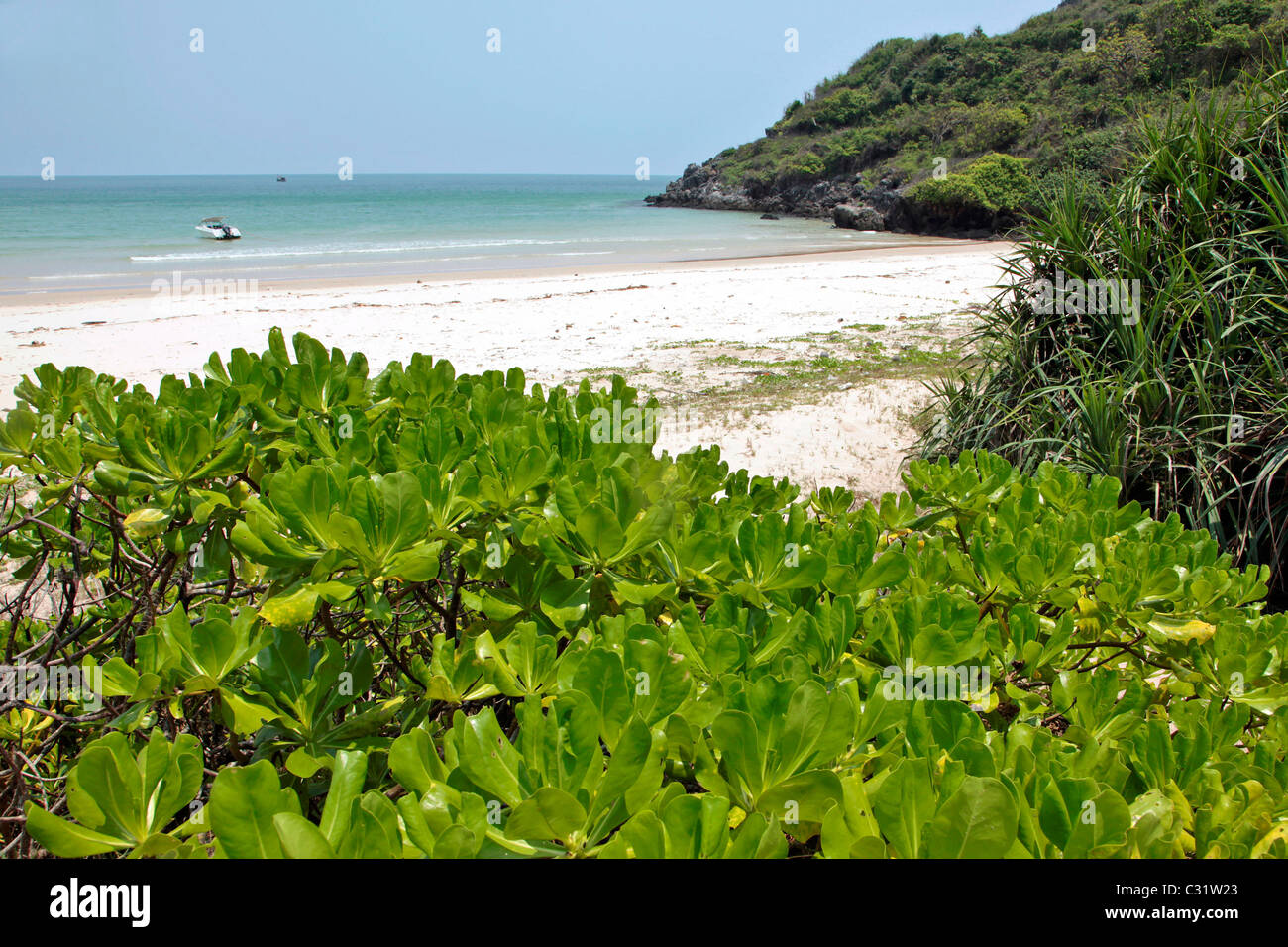 ÜPPIGE VEGETATION UND DEN MENSCHENLEEREN STRAND VON AOW TA MUANG (TA MUANG BUCHT), REGION BANG SAPHAN, THAILAND, ASIEN Stockfoto