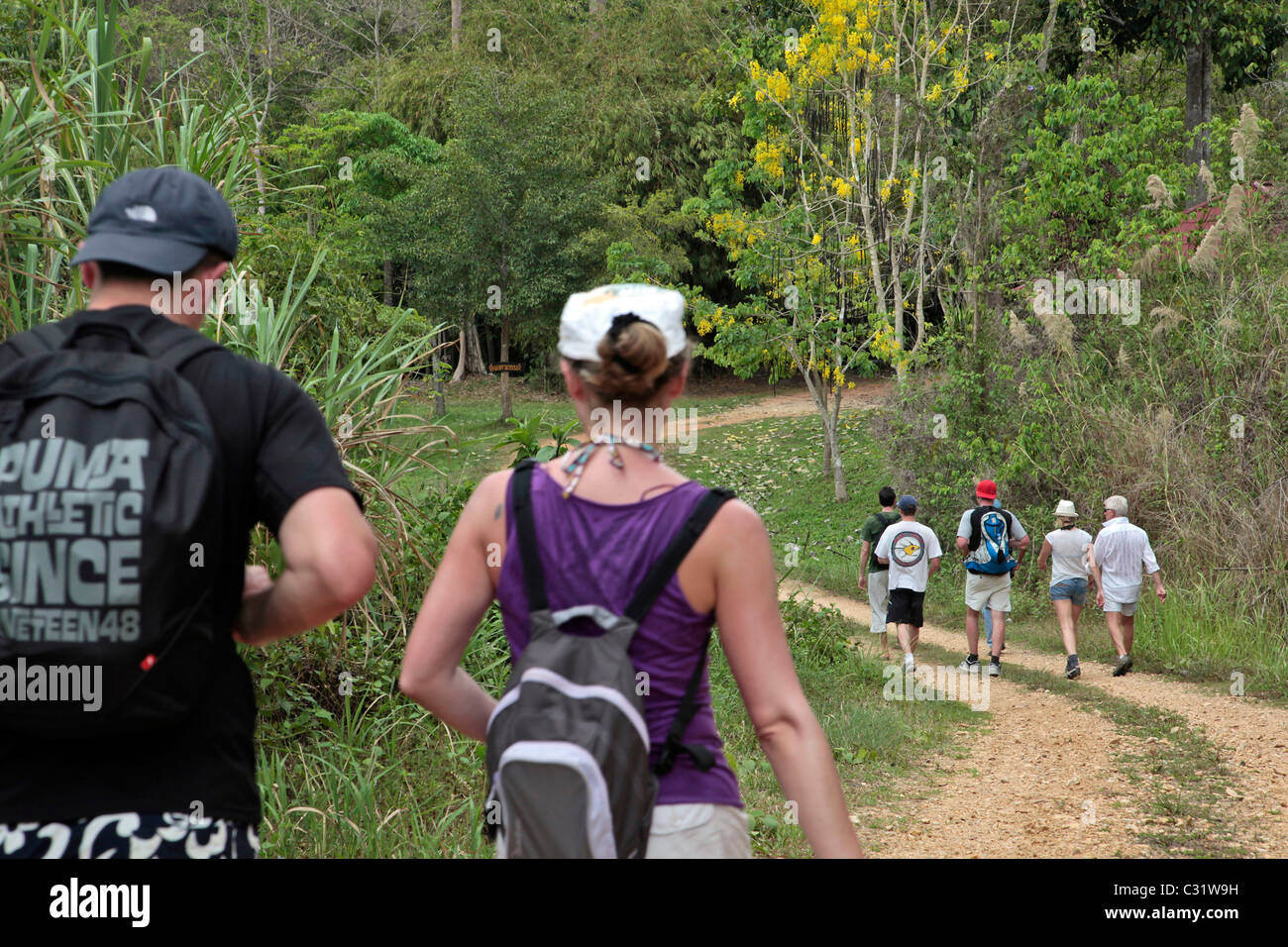 GRUPPE VON TOURISTEN WANDERN IN DEN DSCHUNGEL, NATUR IN DER REGION VON BANG SAPHAN, THAILAND, ASIEN RESERVIEREN Stockfoto