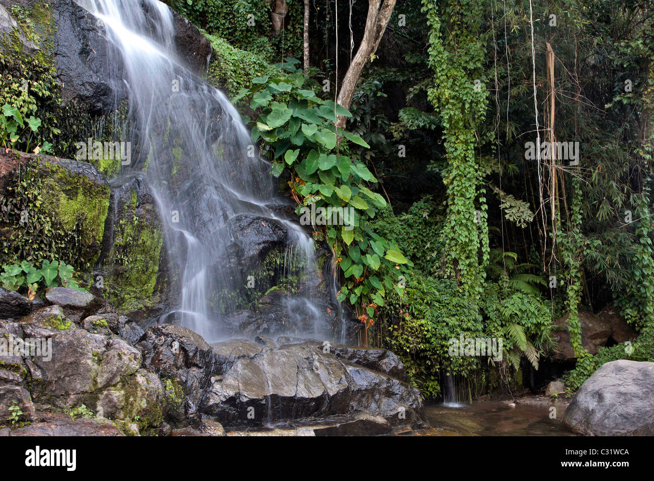 EIN WASSERFALL MITTEN IM DSCHUNGEL, BANG SAPHAN, THAILAND, ASIEN Stockfoto