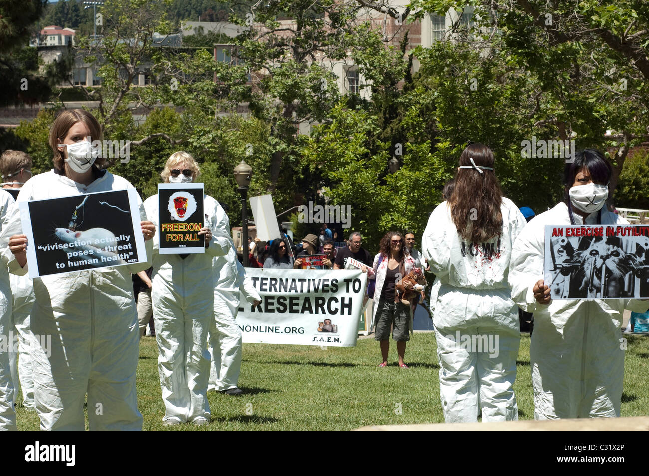 Animal Rights Demonstranten tragen Anti-Vivisection Zeichen Protest Labor Forschung Experimente an Tieren an der UCLA in Los Angeles Stockfoto