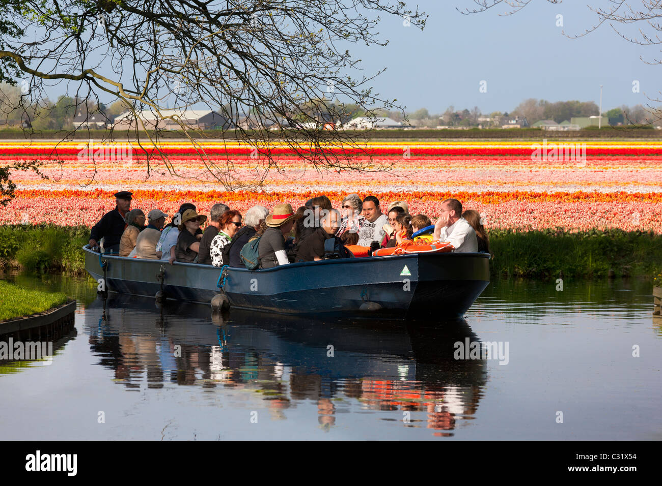 Keukenhof-Besucher gehen für eine Reise durch die blühenden Tulpenfelder durch angetriebene Elektroboot am Keukenhof Gärten in Lisse, Niederlande Stockfoto