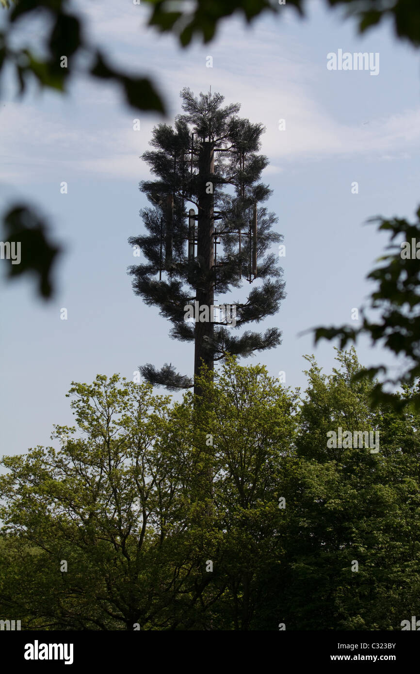Handy-Mast getarnt als Baum, Chingford London Stockfoto