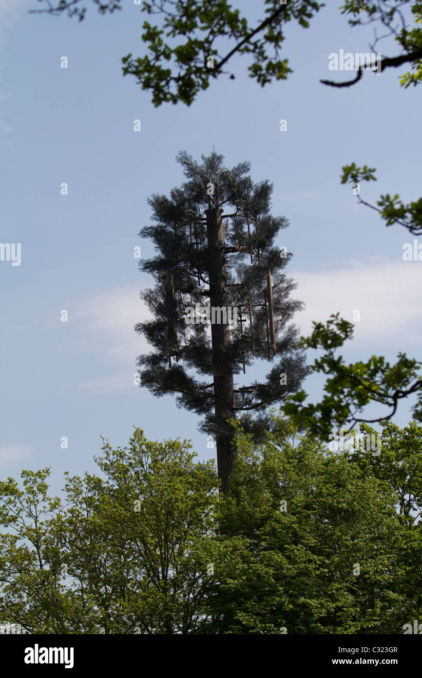 Handy-Mast getarnt als Baum, Chingford London Stockfoto