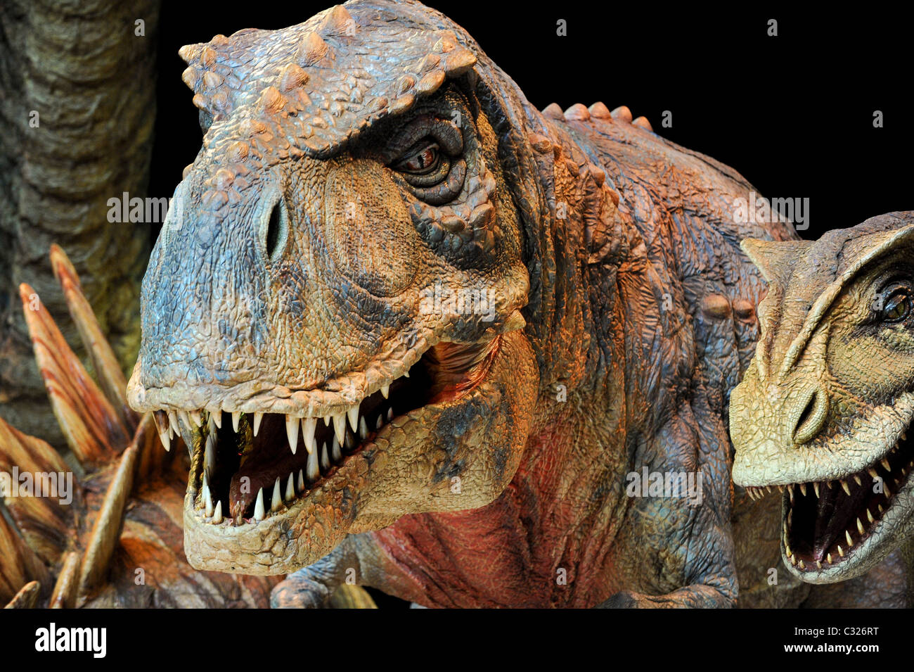 Die all-star cast "Walking mit Dinosaurier" bei 02, 5. August 2009. Stockfoto