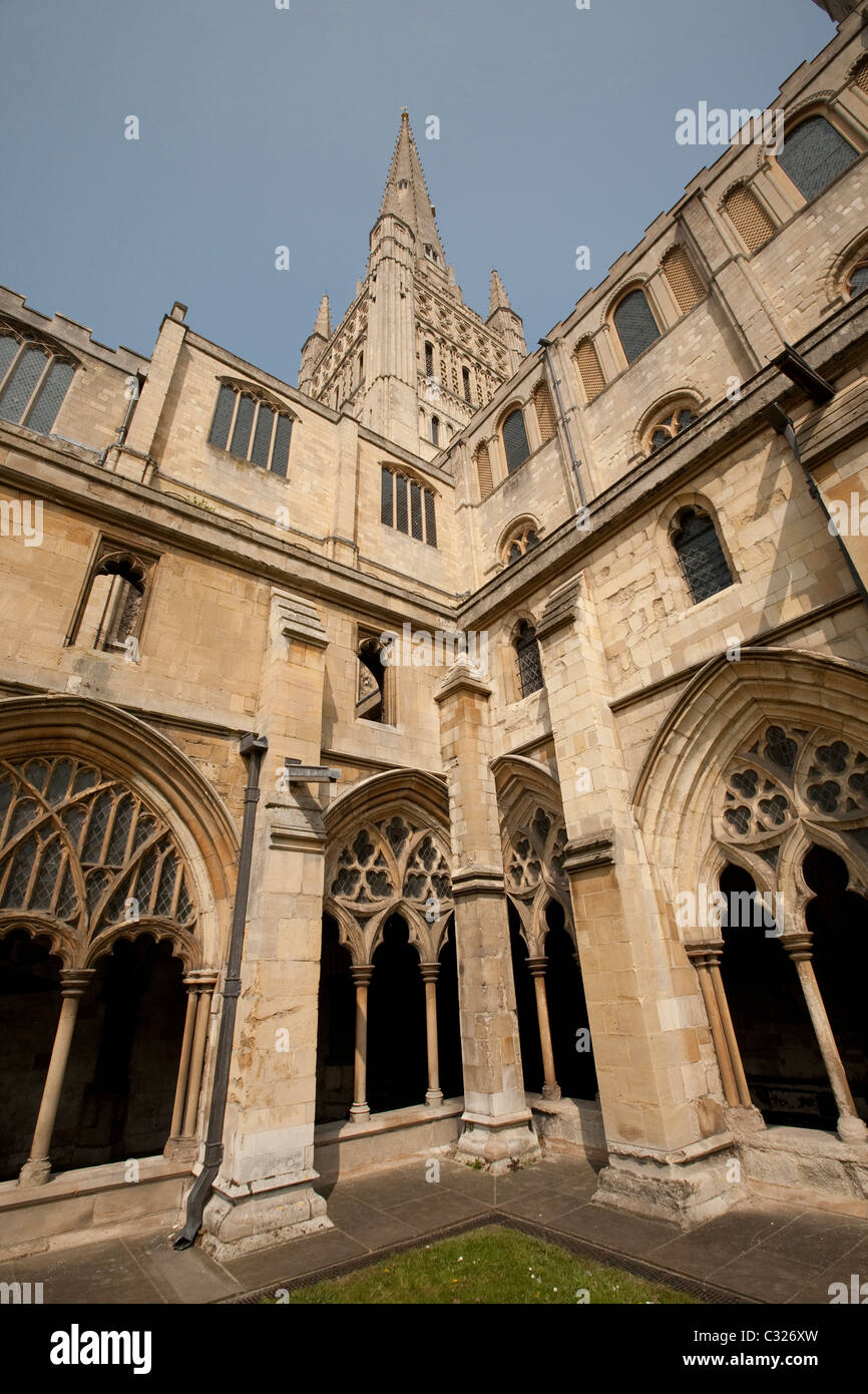 Norwich Cathedral Stockfoto