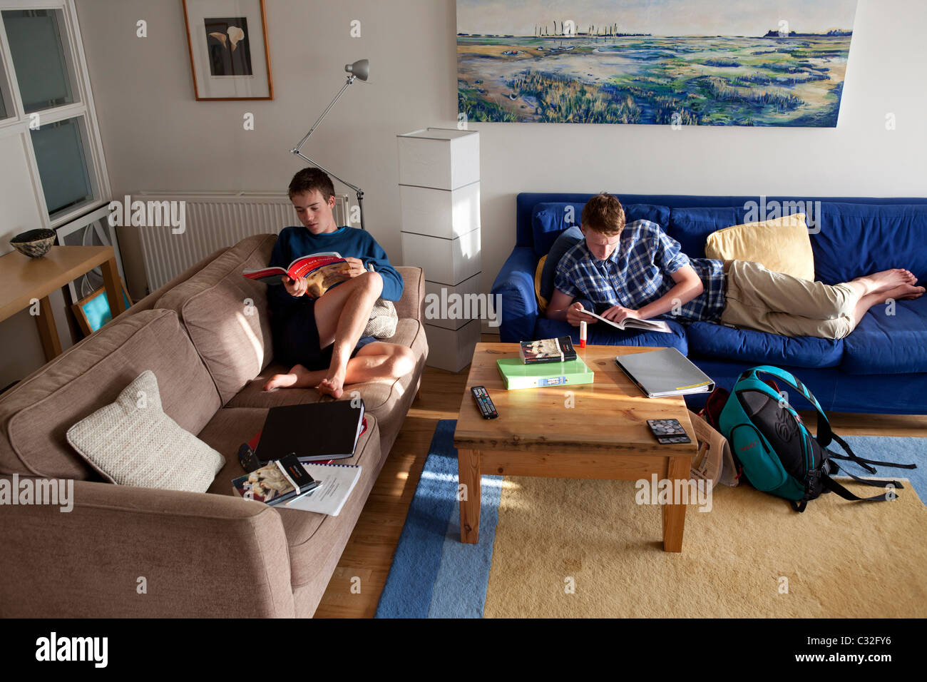 Jungs im Teenageralter Überarbeitung zu Hause für einen Ebenen Stockfoto