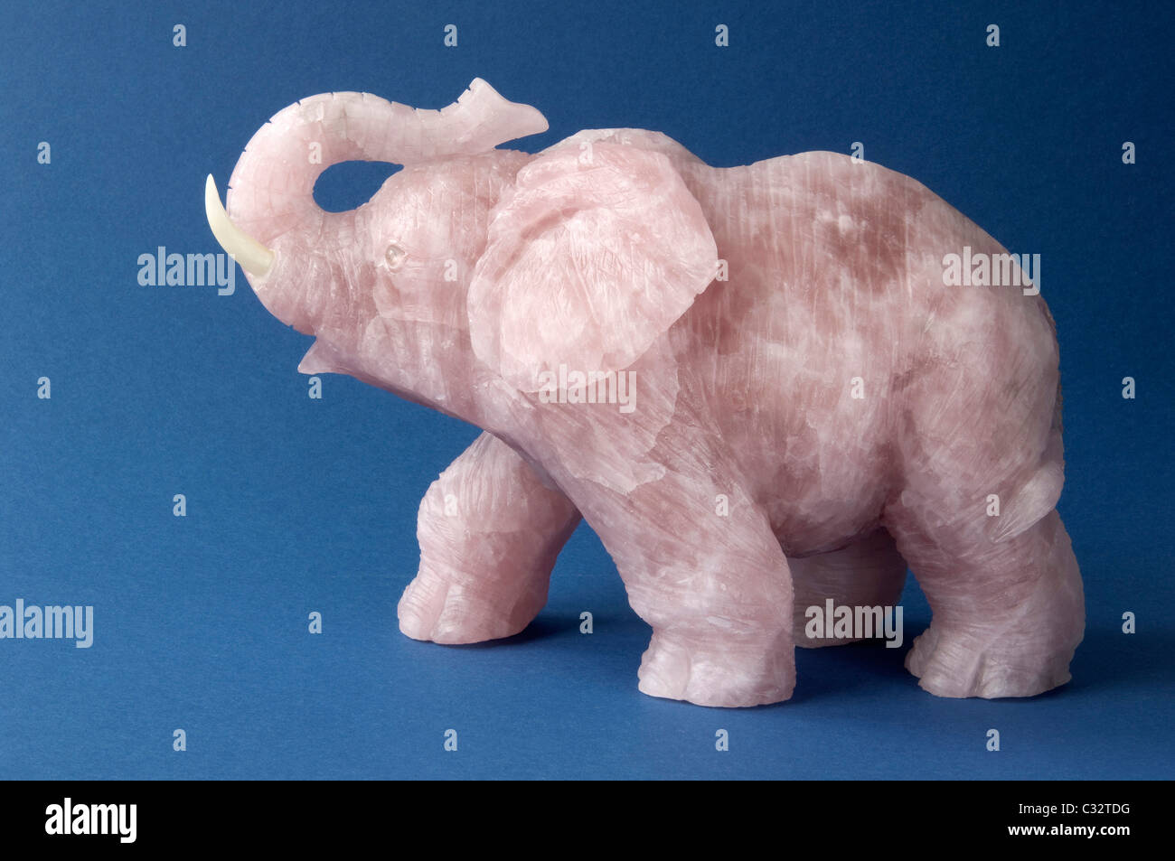 Elefant aus Rosenquarz, Studio Bild vor einem blauen Hintergrund gemacht. Stockfoto