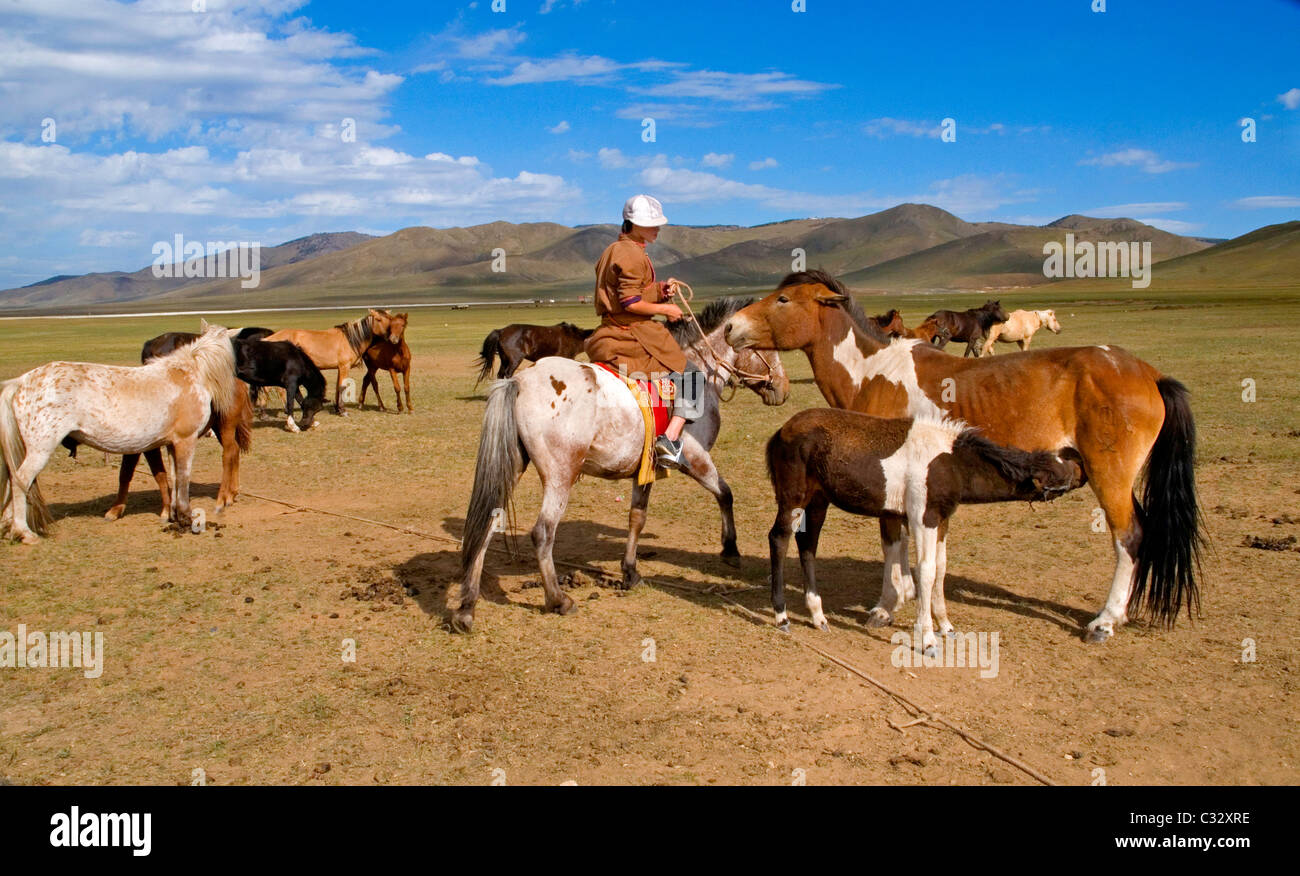 Pferde und junge mongolische junge auf Ebenen außerhalb der Stadt Ulaan Baatar Stockfoto
